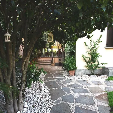Agrifoglio Desenzano del Garda