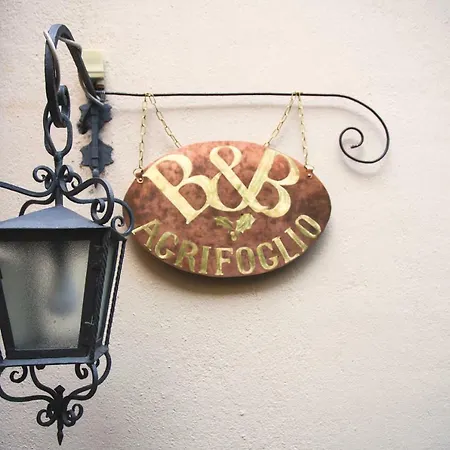 Agrifoglio Desenzano del Garda